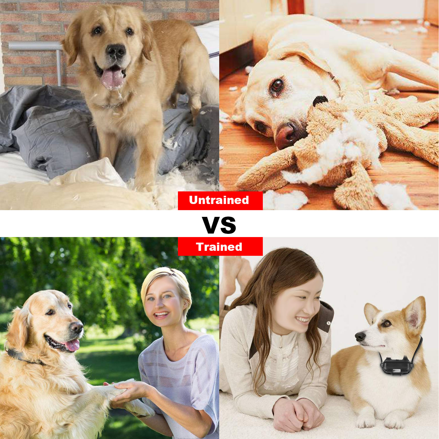 Dog Training Collar IP - Image 8