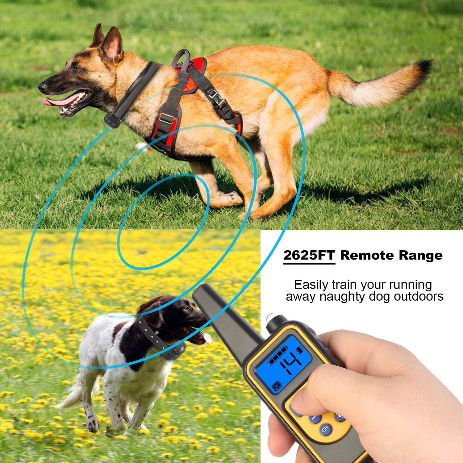Dog Training Collar IP - Image 9