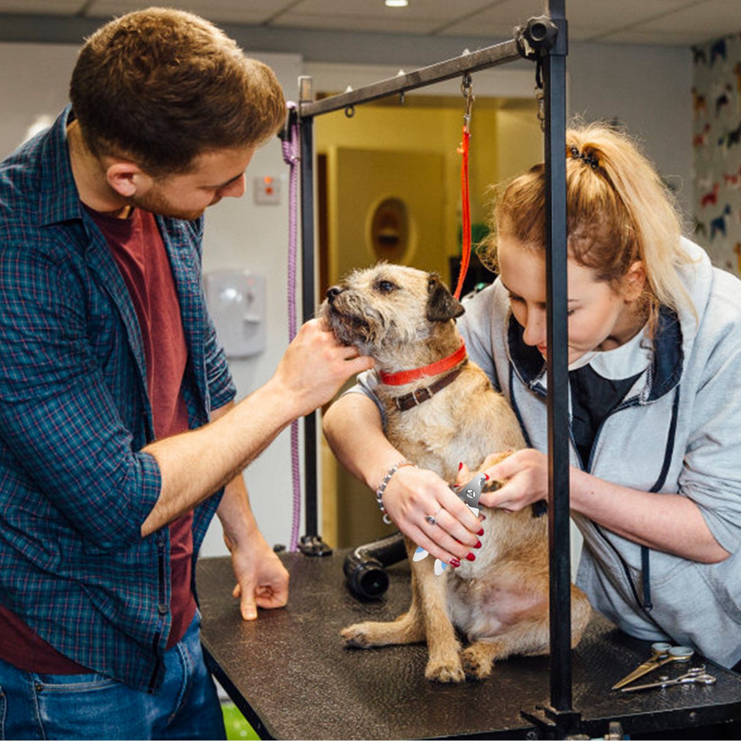 Dog Nail Clippers Pet Cat Nail - Image 5