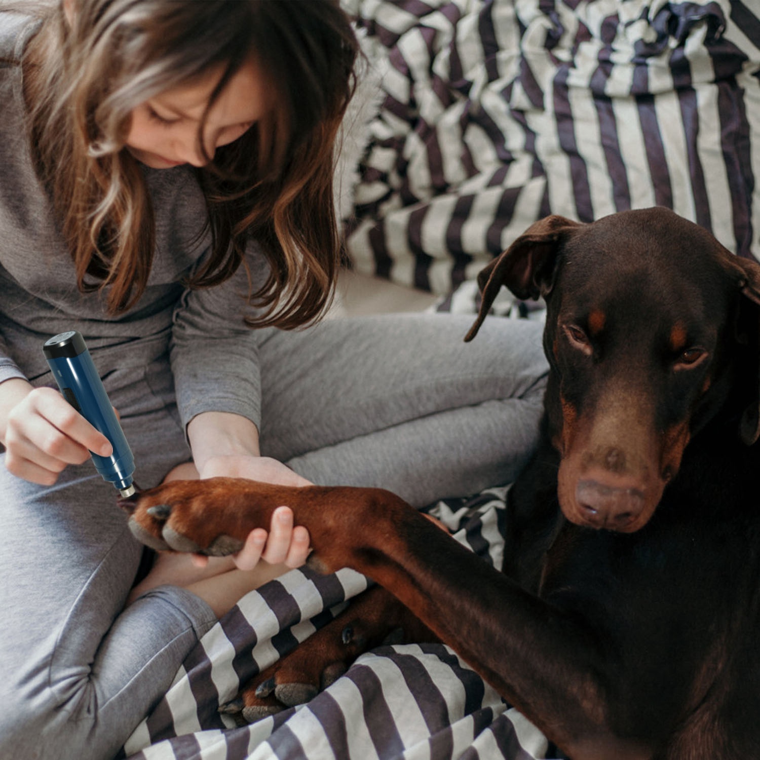 Dog Nail Grinder 2 Speeds Quiet - Image 12