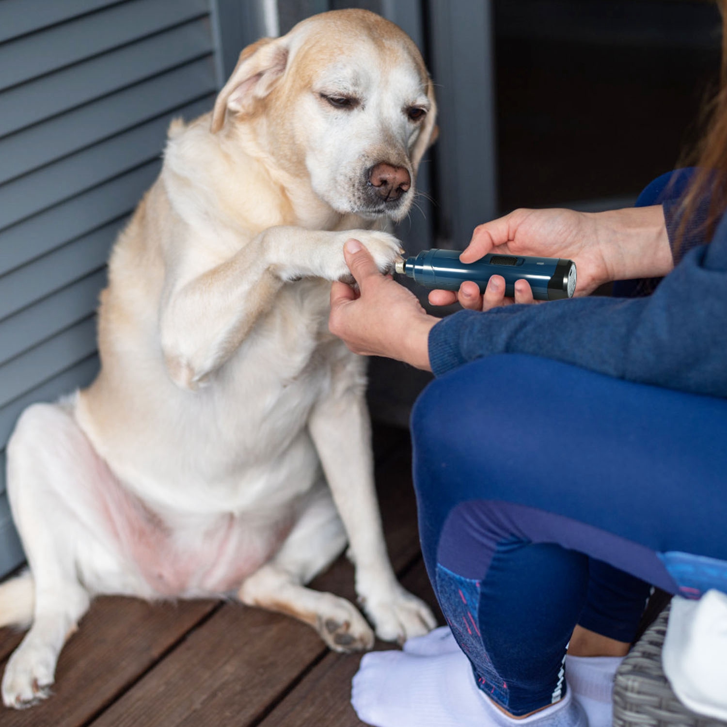 Dog Nail Grinder 2 Speeds Quiet - Image 14