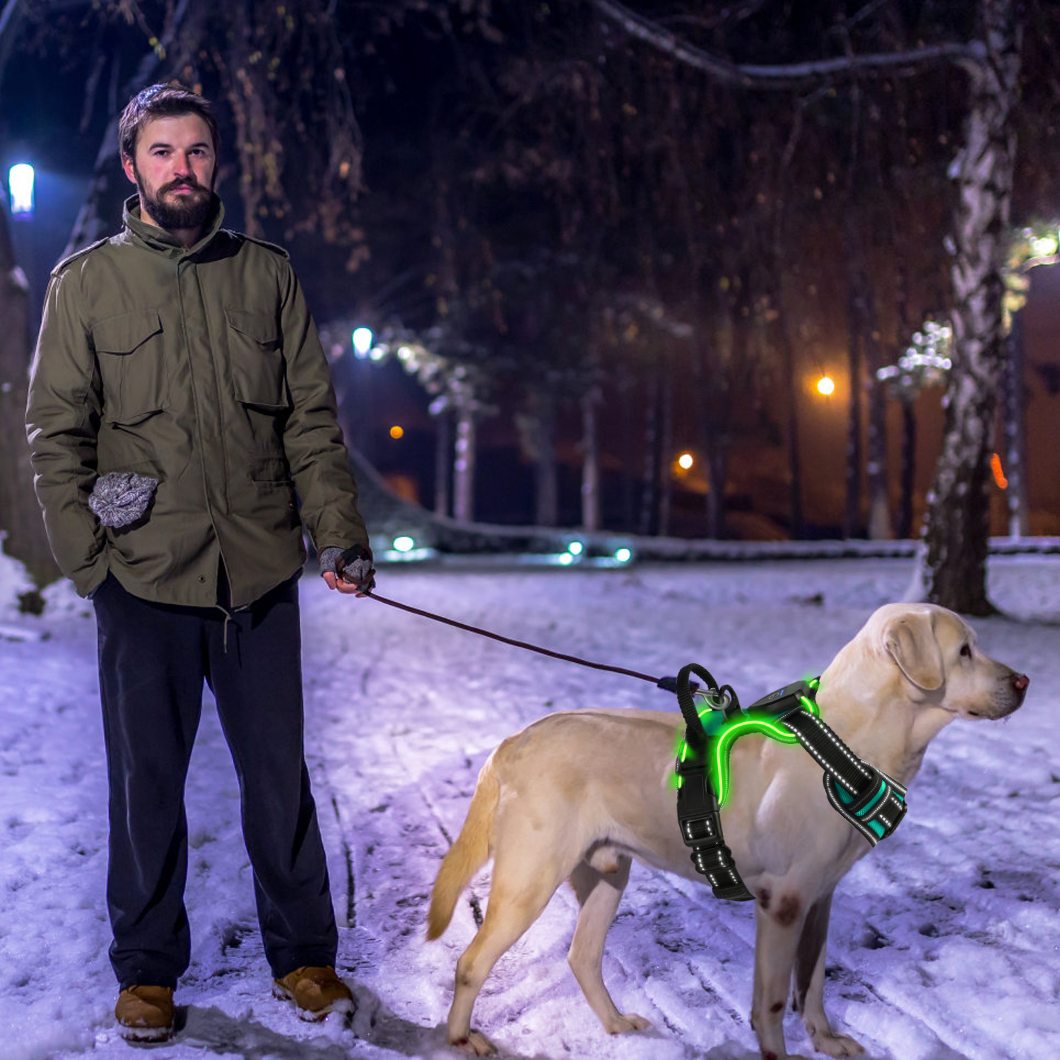 Light Up Dog Harness Rechargeable LED Dog Harness - Image 2